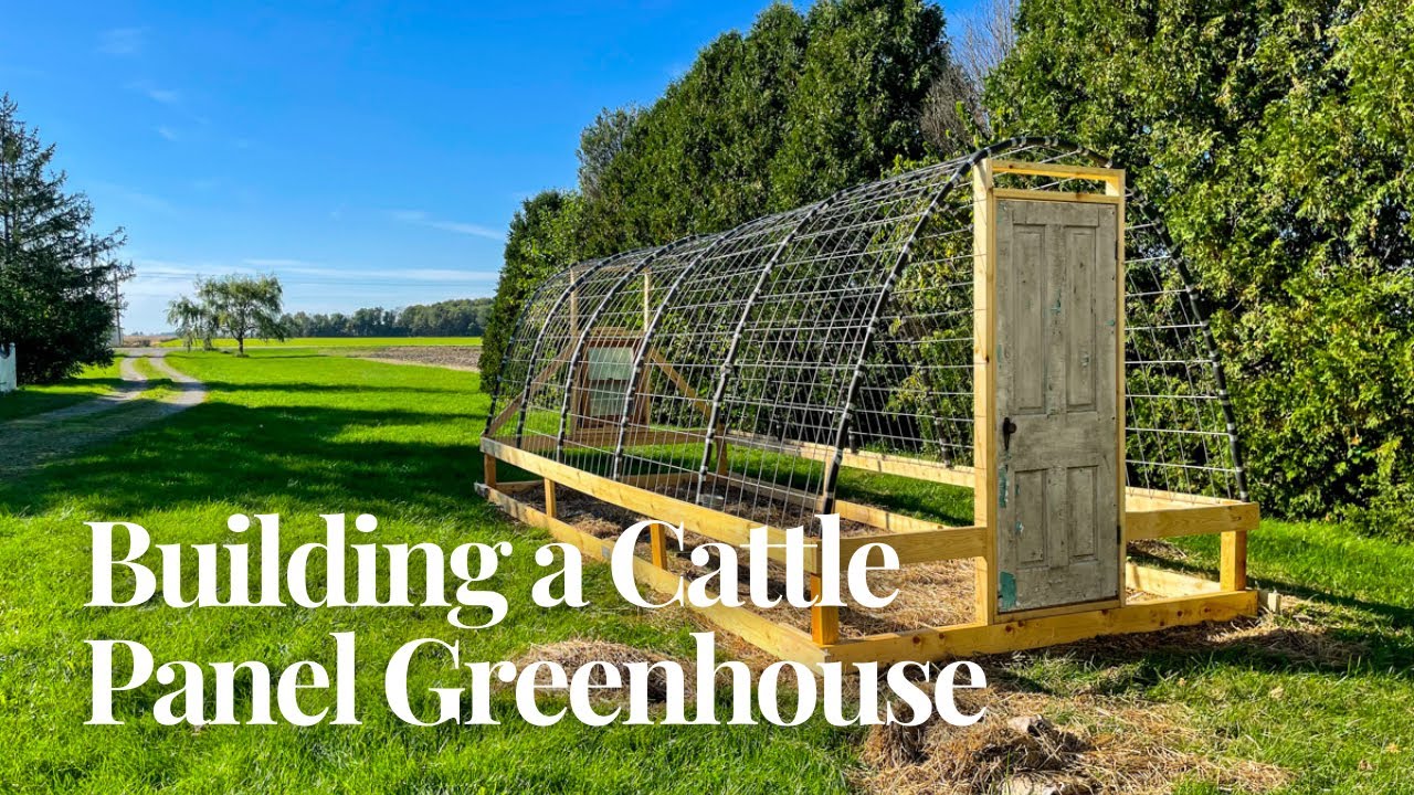 How We Built a Cattle Panel Greenhouse | DIY Hoop House