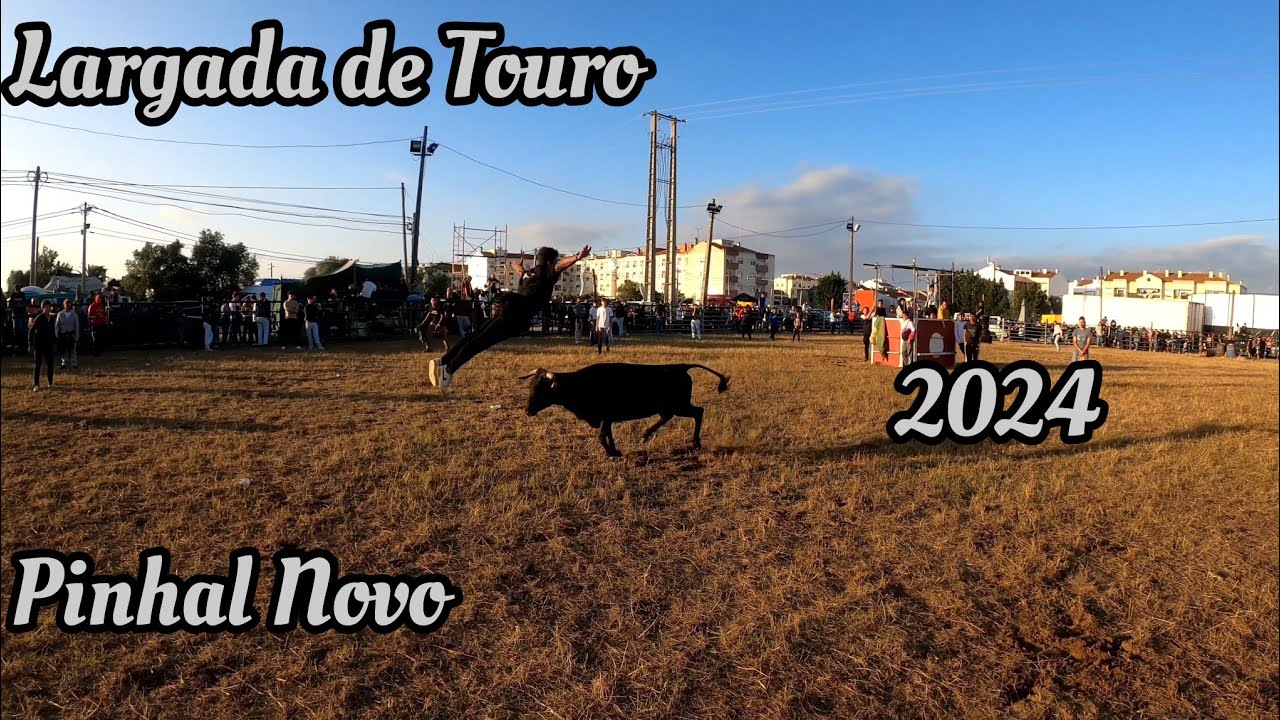 Largada de Touro Pinhal Novo 2024