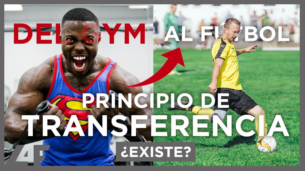 Del GIMNASIO al CAMPO DE FÚTBOL 💪 ¿Existe el PRINCIPIO DE TRANSFERENCIA del ENTRENAMIENTO? | L4F