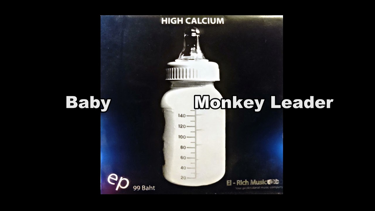 Baby - Monkey leader