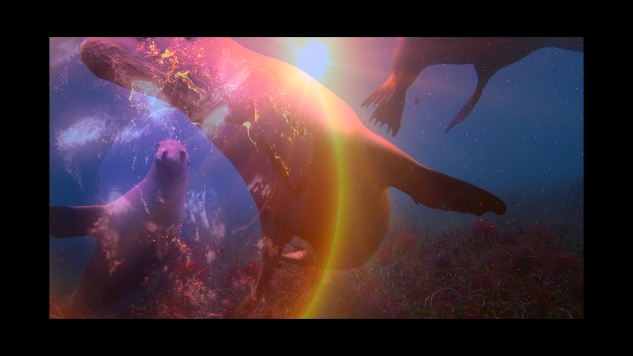 Magnificent Earth - #magnificient #earth #beautifulearth #beautifulplanetearth #official #tonyyolo