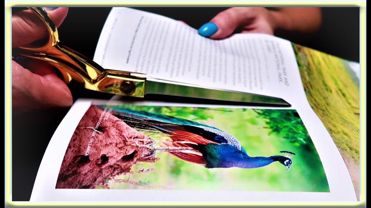 ASMR: Cutting and Trimming Pictures Out Of Magazines - Page Turning - Scissors - Paper- No Talking