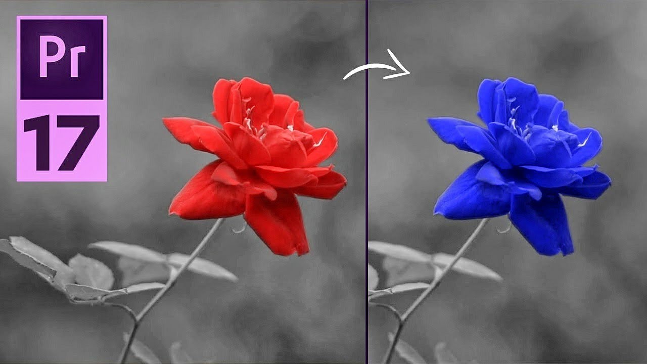 17 - عزل و تغيير الالوان والعناصر فى الفيديو | Changing Colors in Premiere Pro