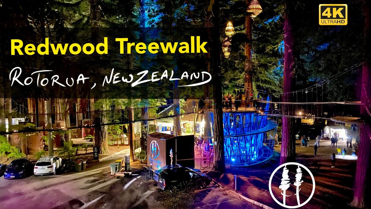 Redwoods Treewalk | Rotorua New Zealand | 4k | day and night experience | by Harpal Singh Guron