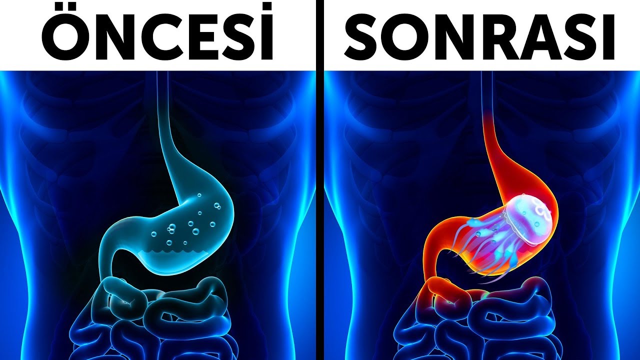 Bir Denizanası Yutarsanız Ne Olur?