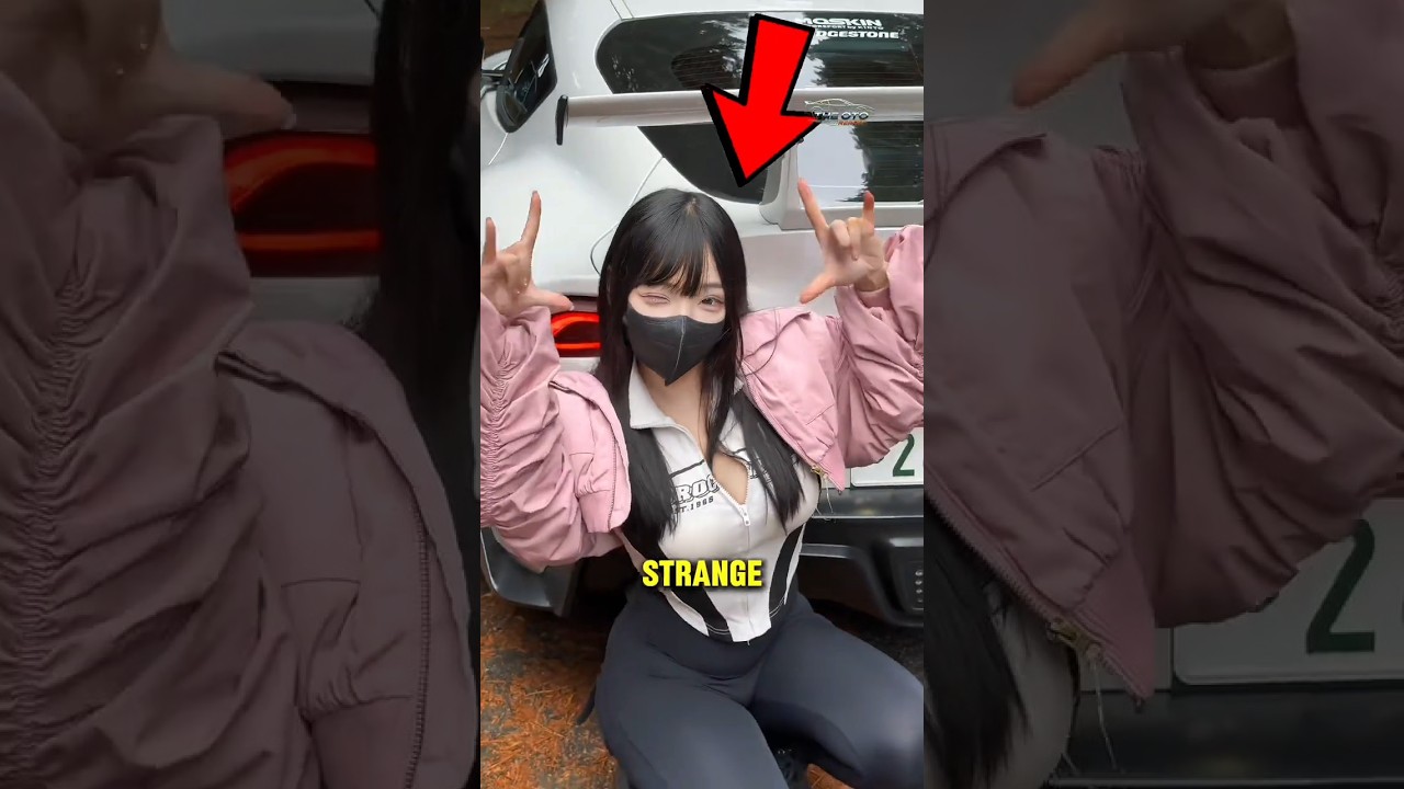 The Strange Secret Hidden on Every Japanese Cars