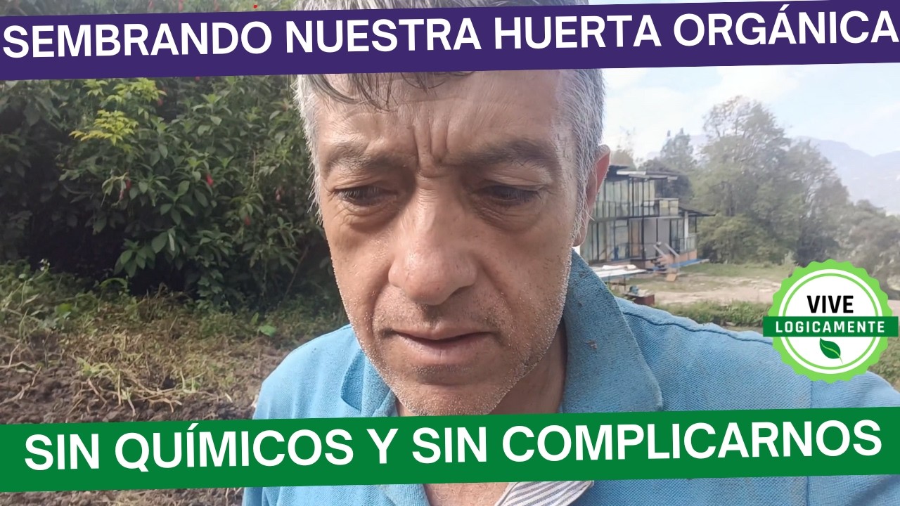 Así sembramos nuestra huerta orgánica (sin químicos y sin complicarnos)