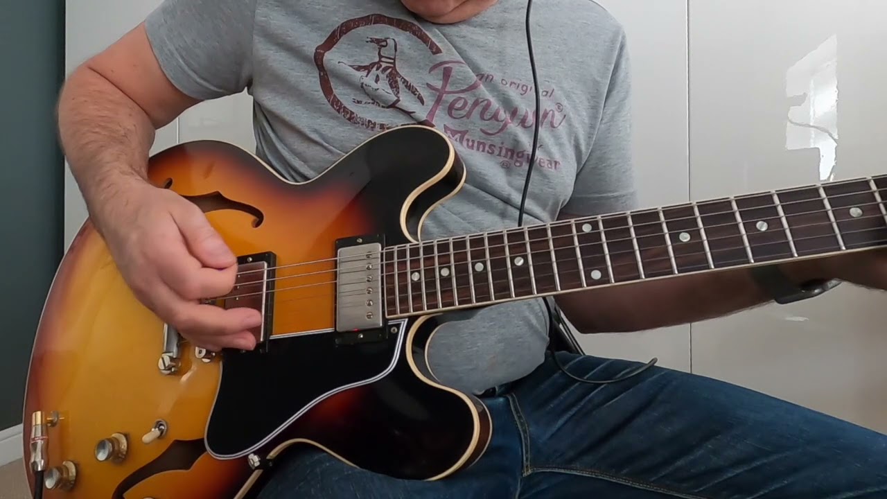 Gibson Custom Shop ES335, Fender The Twin, Hudson Broadcast