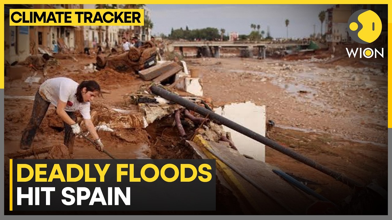 Spain Floods: Deadly Floods Hit Spain As Torrential Rains Trigger Widespread Flooding | WION