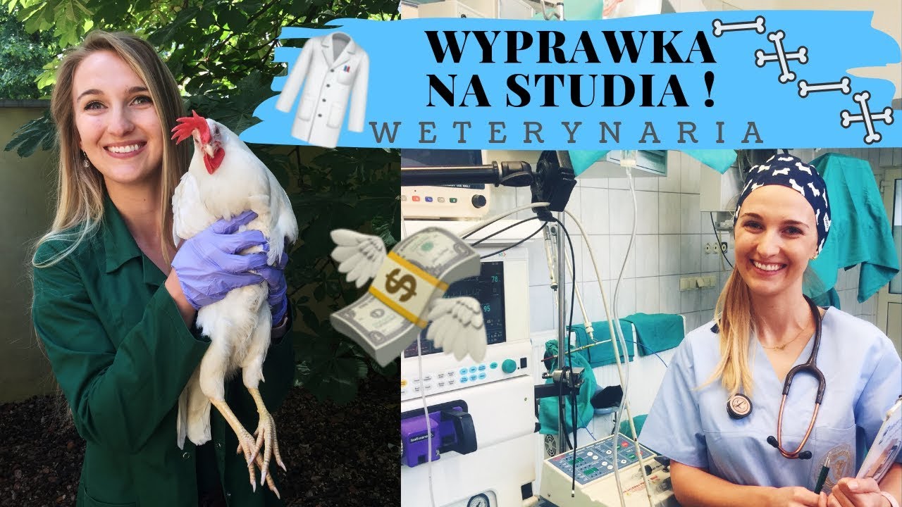 CZEGO POTRZEBUJESZ NA PIERWSZY ROK WETERYNARII? | NA CO SZKODA PIENIĘDZY?