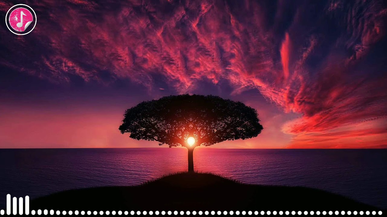 Emotional Sad Piano Music -  No Copyright - Free To Use Background Music