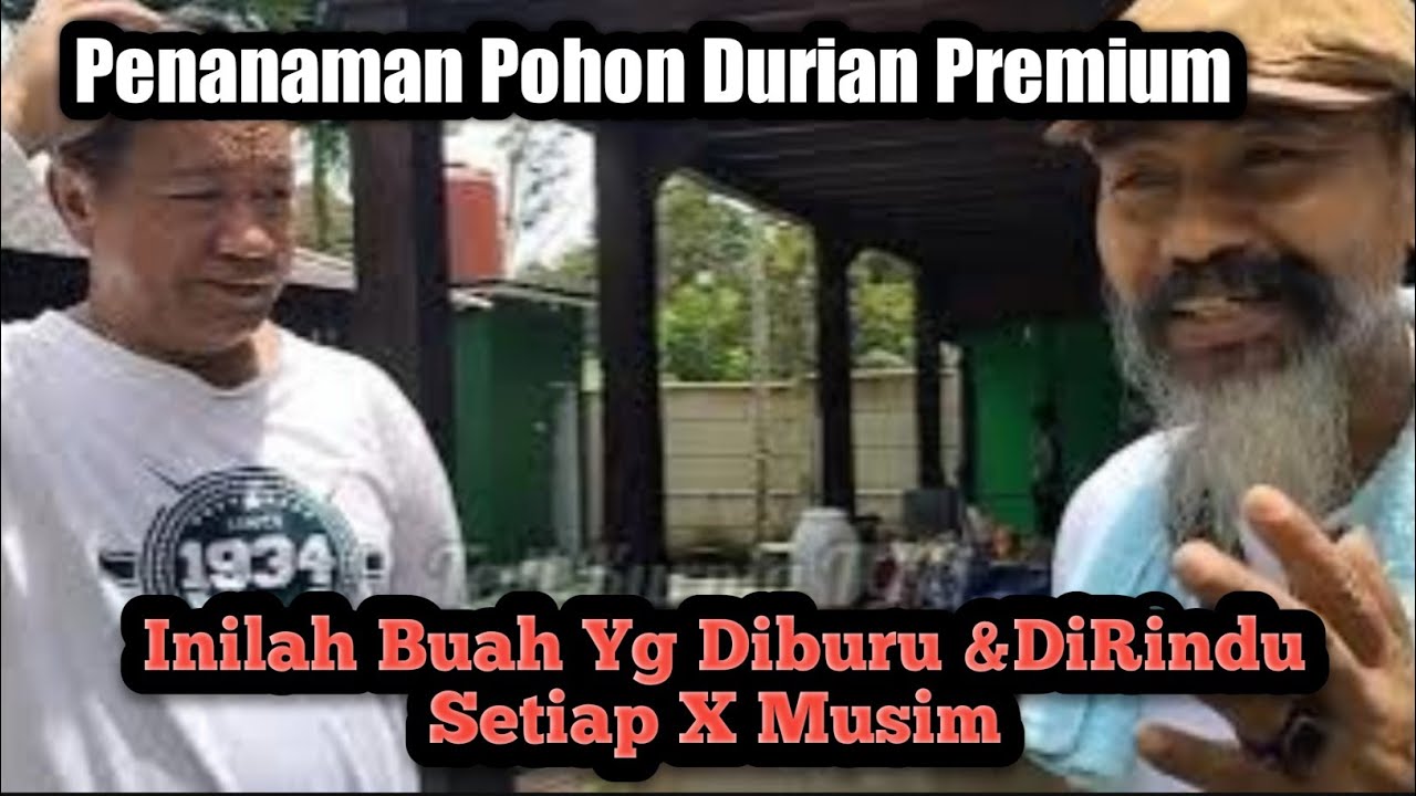 Penanaman Pohon Durian Premium #Tanampohondurian #durian