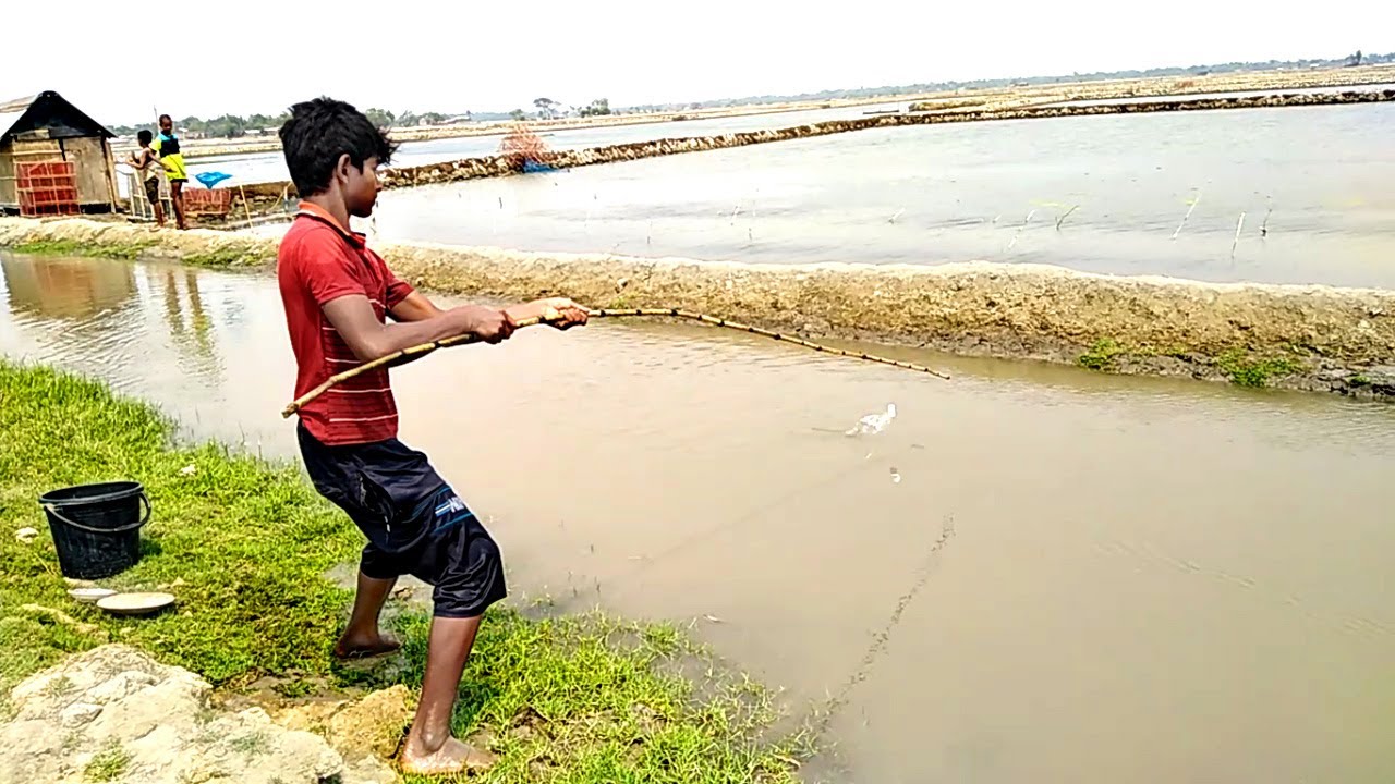 Best Hook Fishing Videos | Traditional Fishing with Hook | Unique Way of Catching Fish by Hook