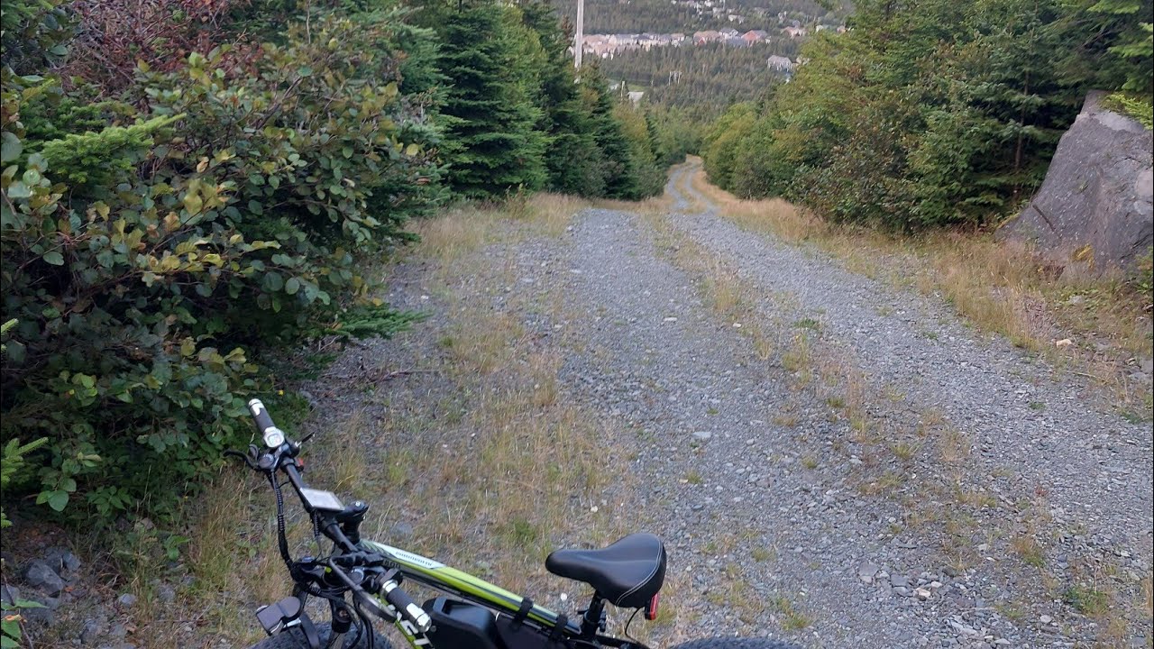 Ebiking in Newfoundland belike... Steep downhill, brakes don't fail me now.