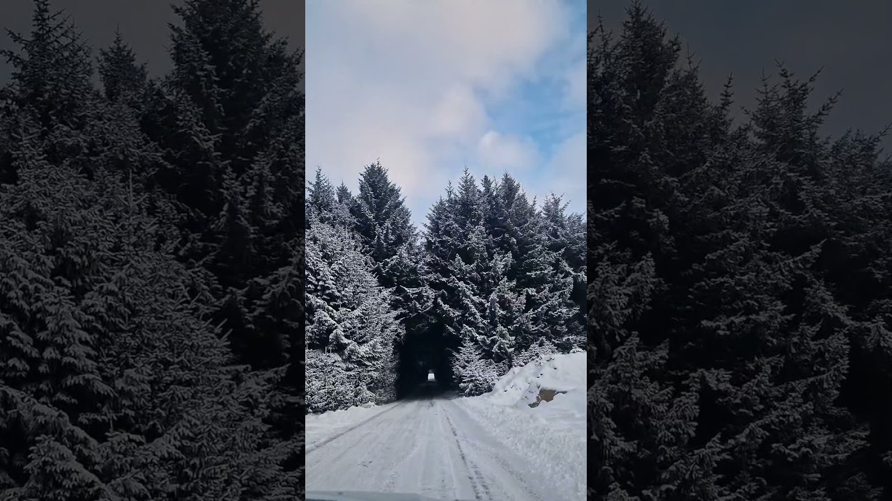 #norway #norwayroadtrip #beautiful #beautifulnorway #driveography #snow