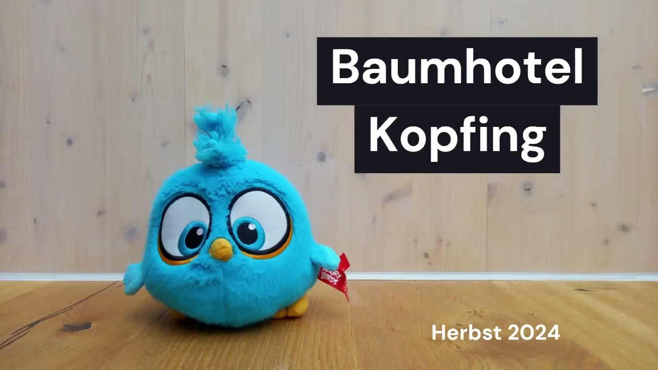 Baumhotel Kopfing - Birdy on Tour