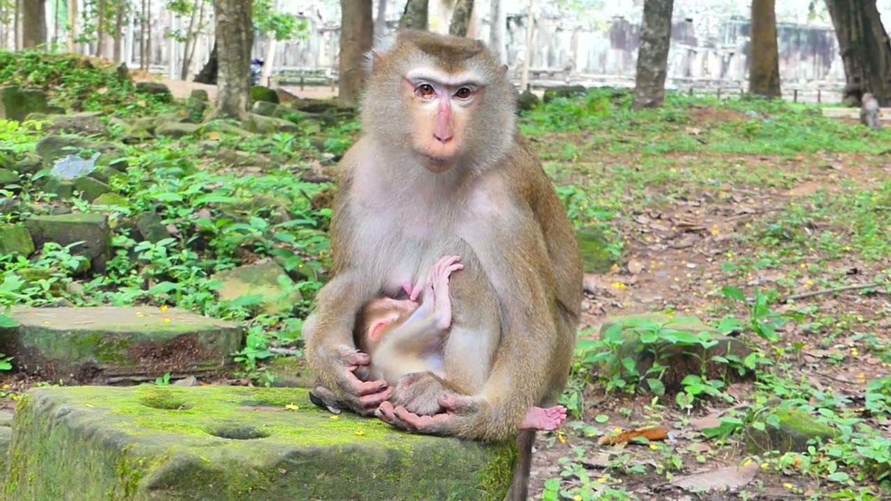 Mum please check your baby, they are playing to much