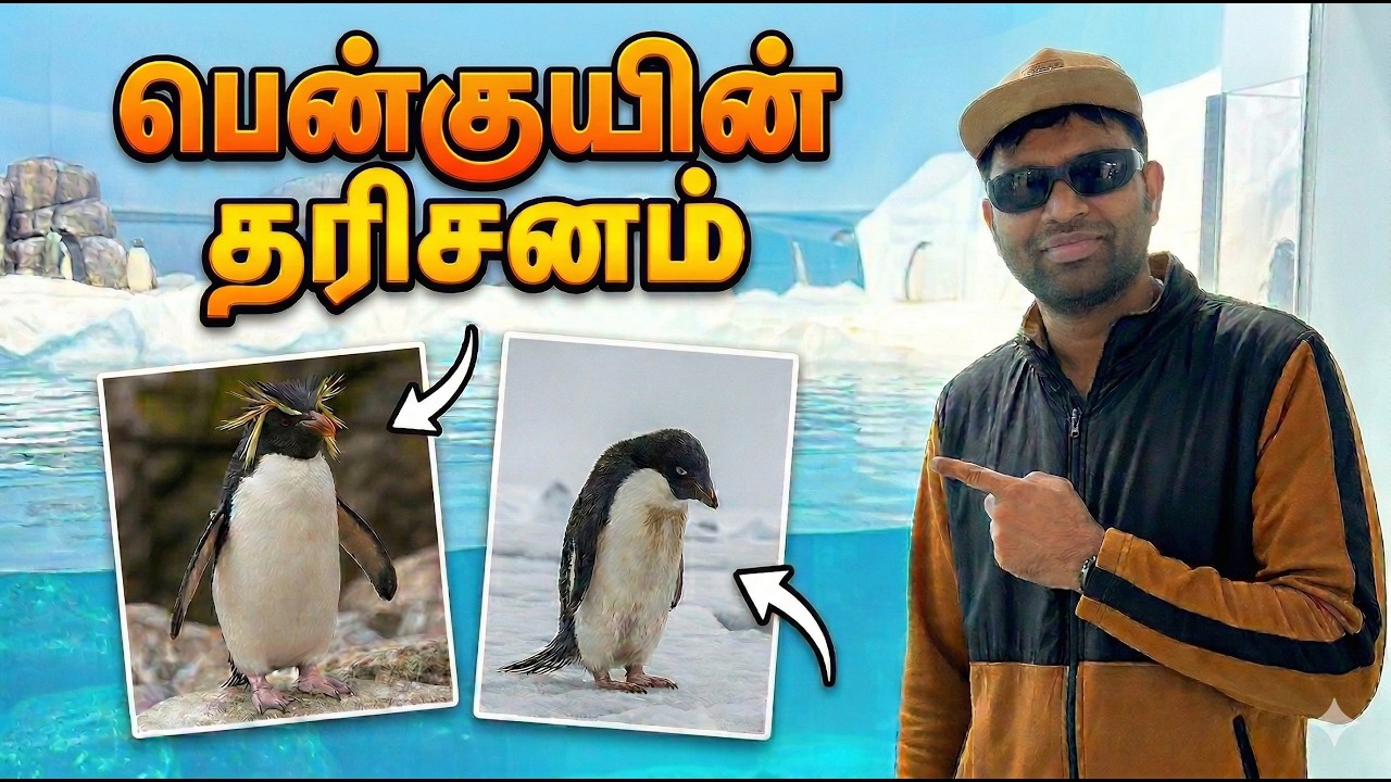 அமேசான் காடு முதல் பனிப்பிரதேசம் வரை! | Canada Montreal Biodome Complete Tour
