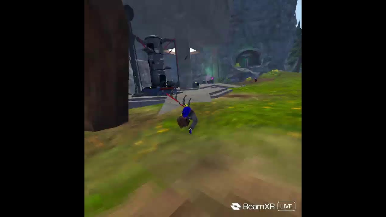 animal company   stream LIVE WITH YOU