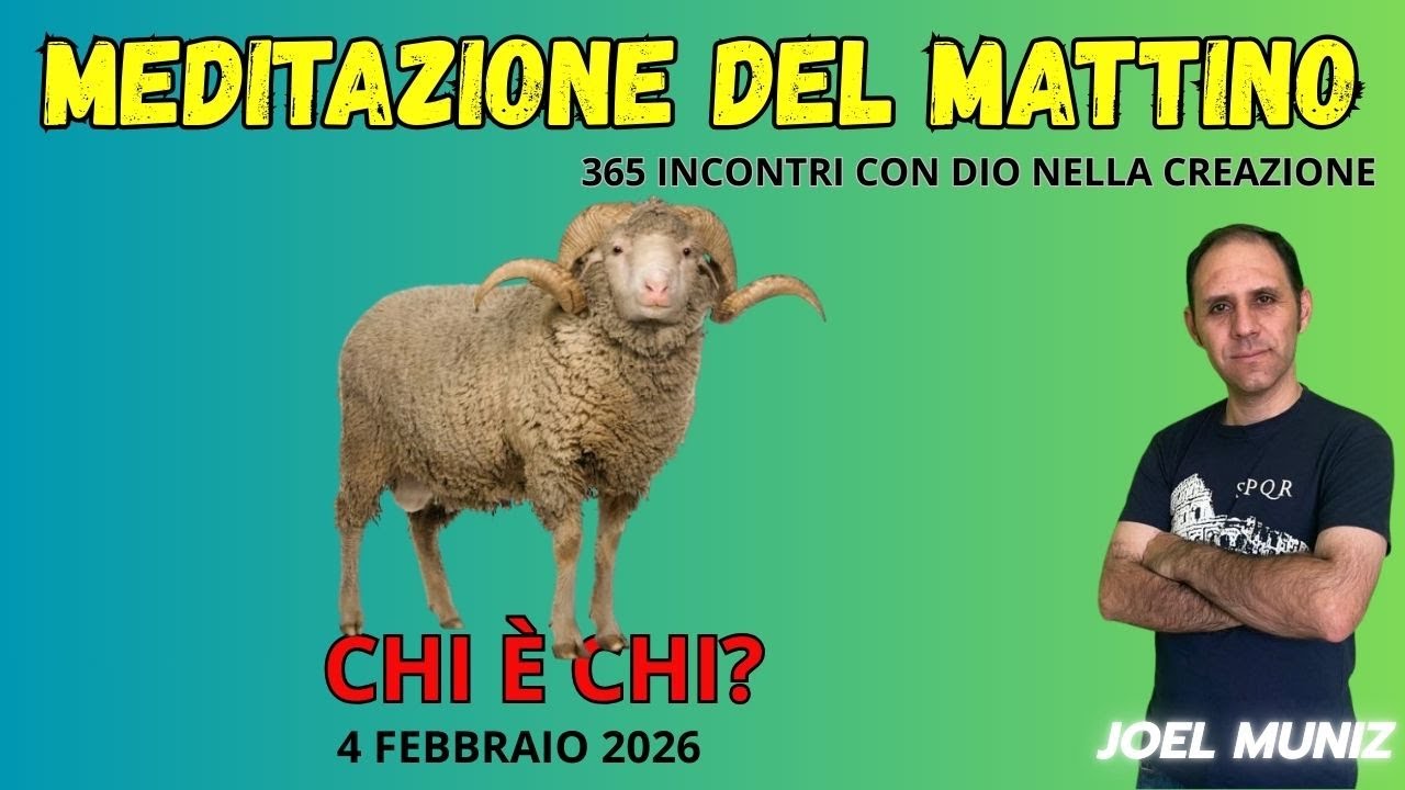 CHI È CHI? - 4 FEBBRAIO - MEDITAZIONE DEL MATTINO