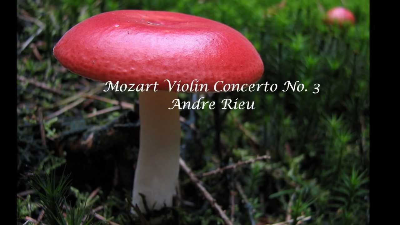 Andr&eacute; Rieu - Mozart Violin Concerto No. 3