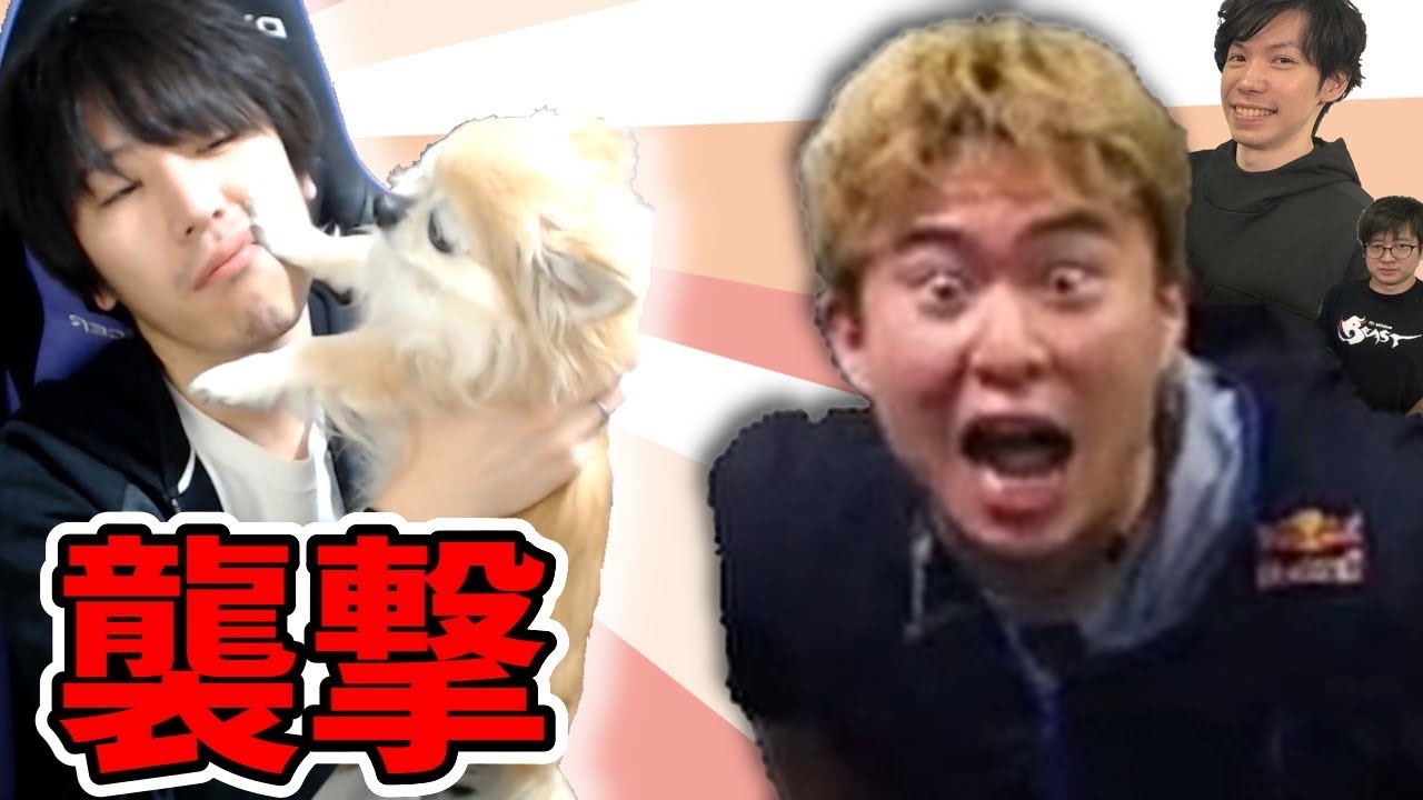 【神展開】プロゲーマーが連勝企画にスナイプしたらとんでもない結末に！【SFV】