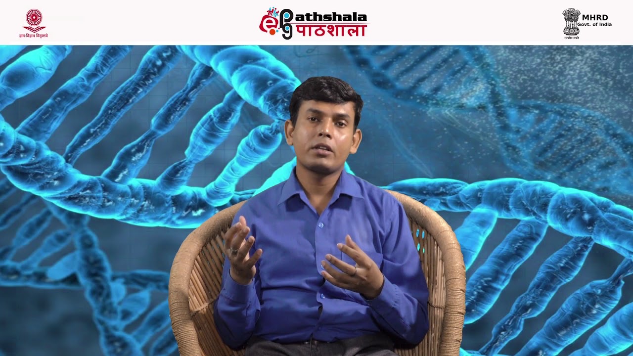 Structural organization of genome: Sequence organization of genome