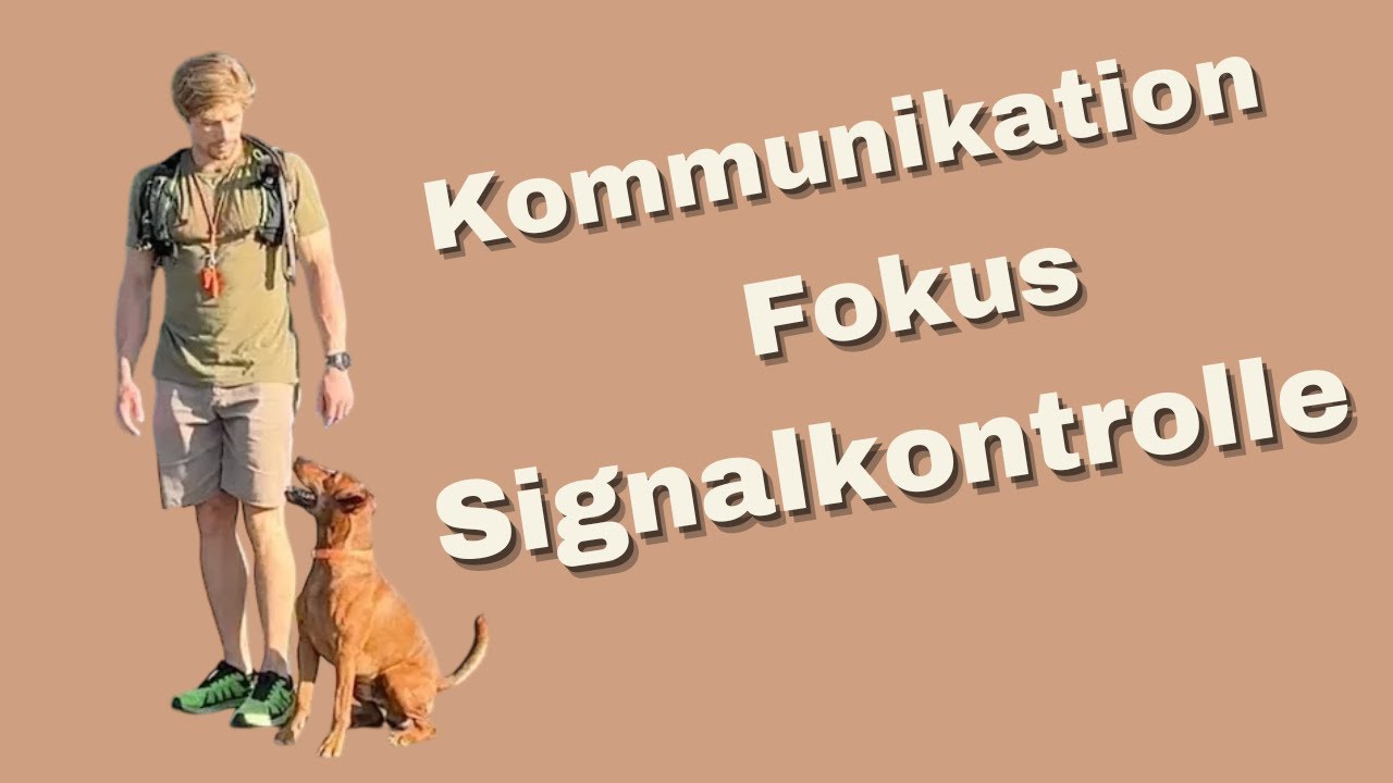 BLICKKONTAKT: Die Basis für alles im Hundetraining