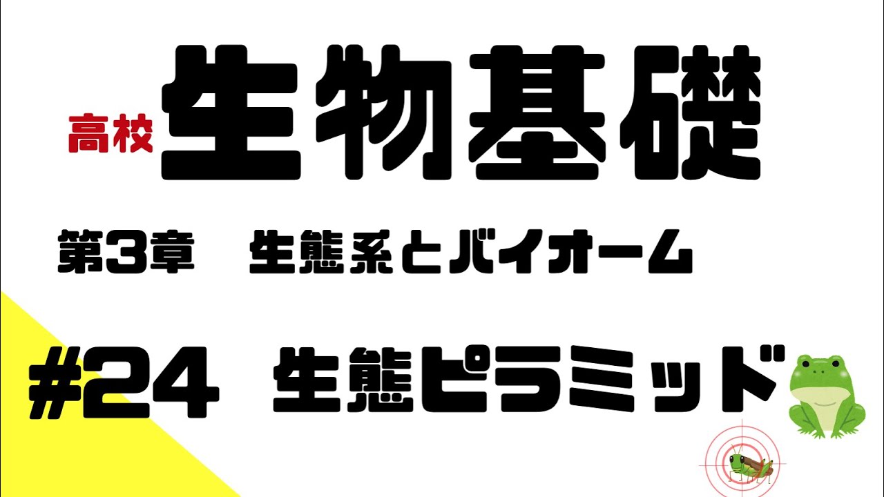 【生物基礎】#24 生態ピラミッド