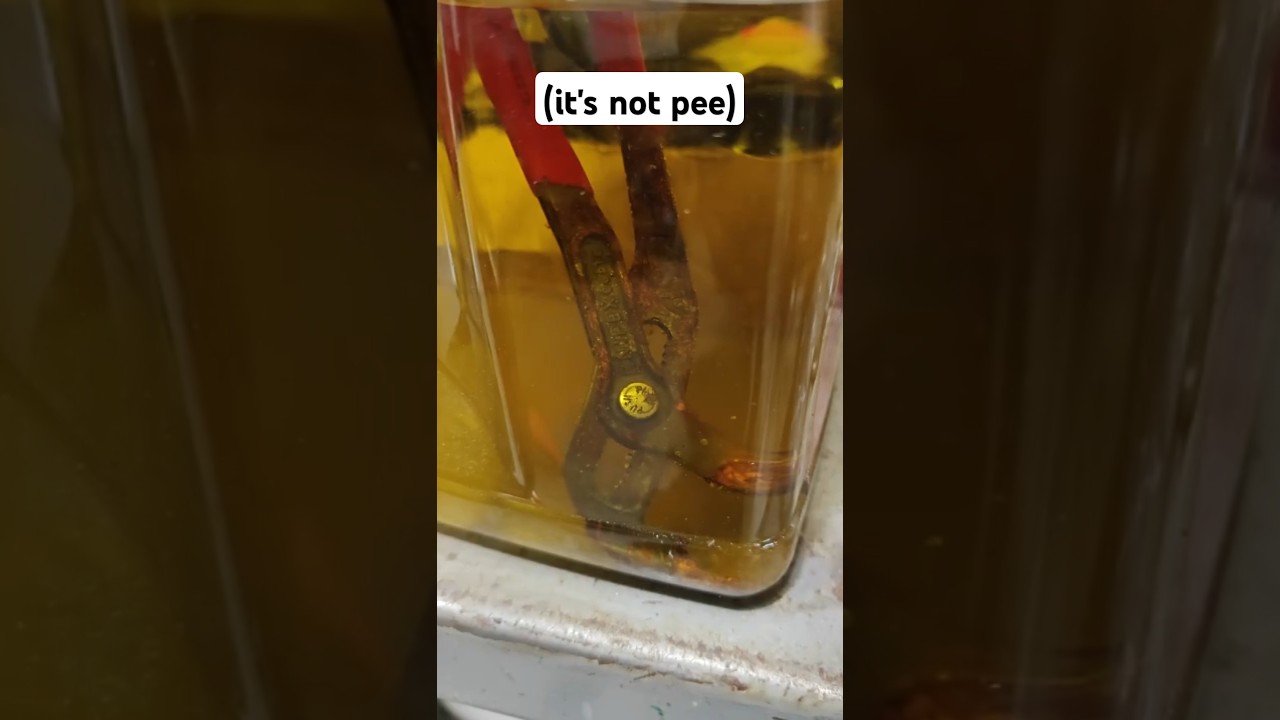 EFFECTIVELY Remove Rust! Cheap, Easy, and Safe
