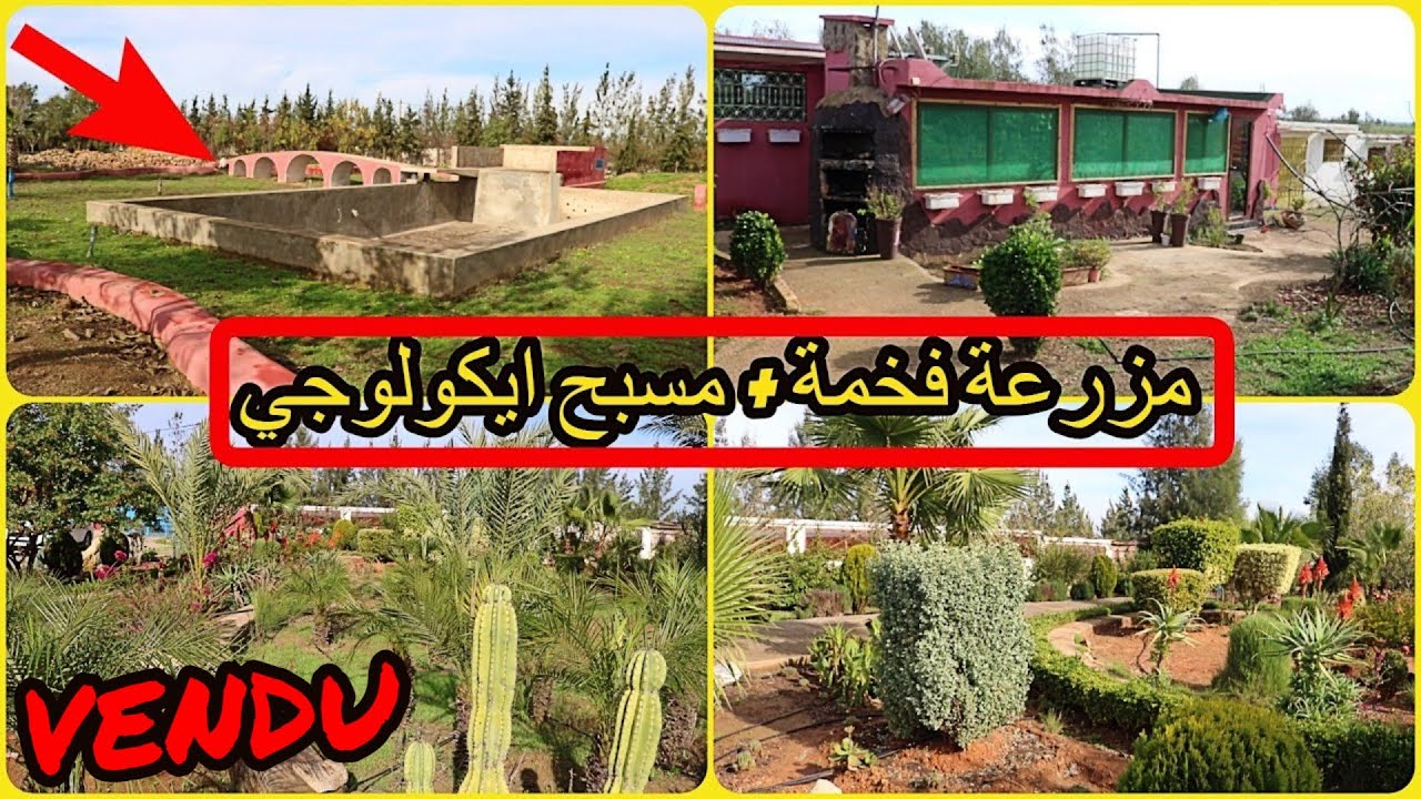 ✨فيرمة فخمة بمسبح ايكولوجي و حديقة خيالية مجهزة بالكامل ✨ تيفلت