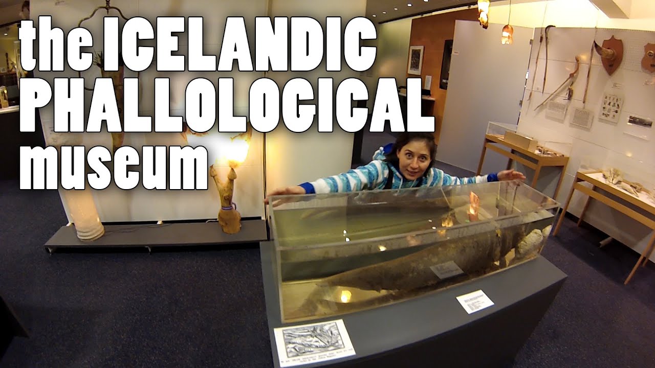 Iceland and the Phallological Museum