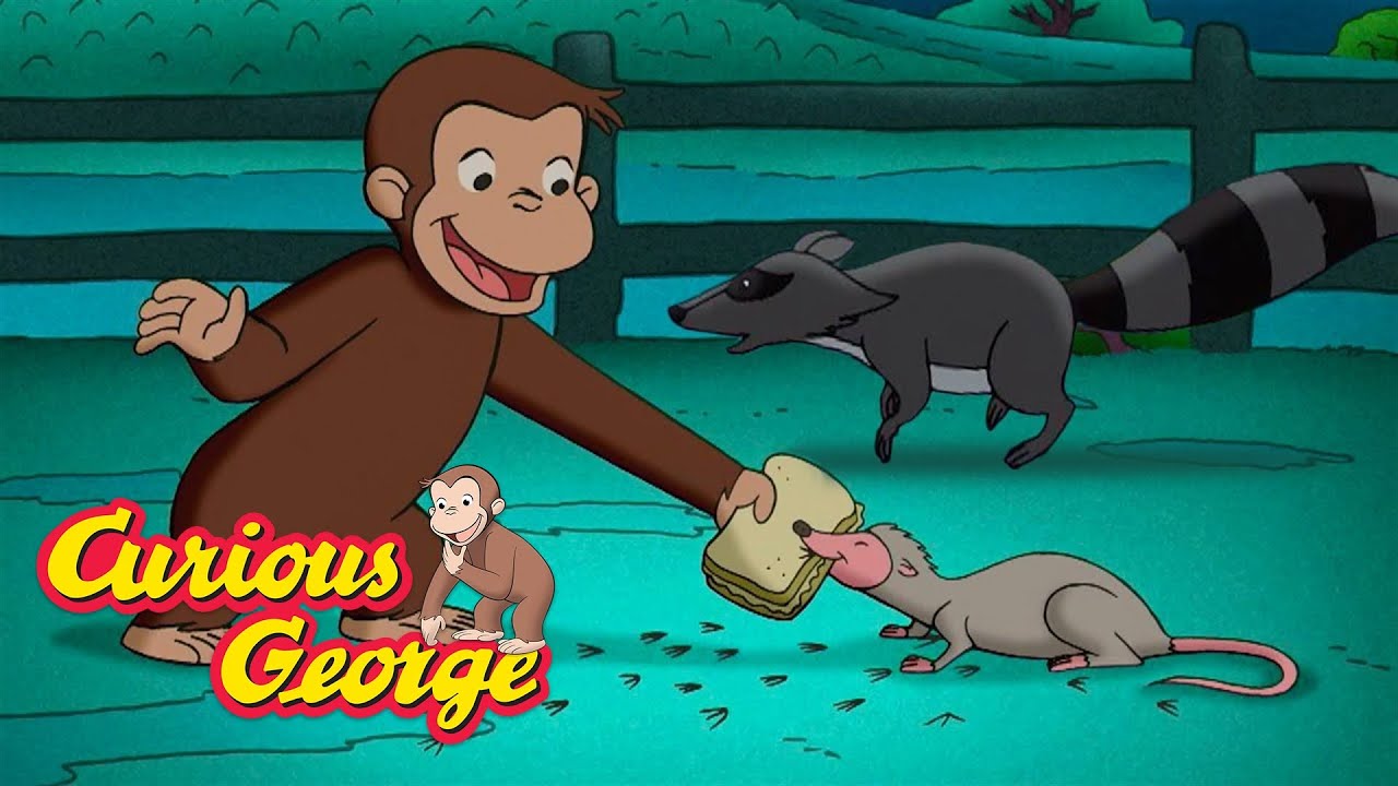 George's New Nocturnal Friends 🐵 Curious George 🐵 Kids Cartoon 🐵 Kids Movies
