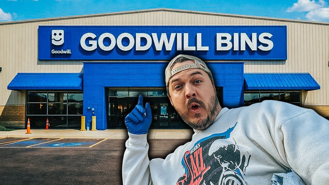 I Tried The Goodwill Bins Every Day - Worth It?