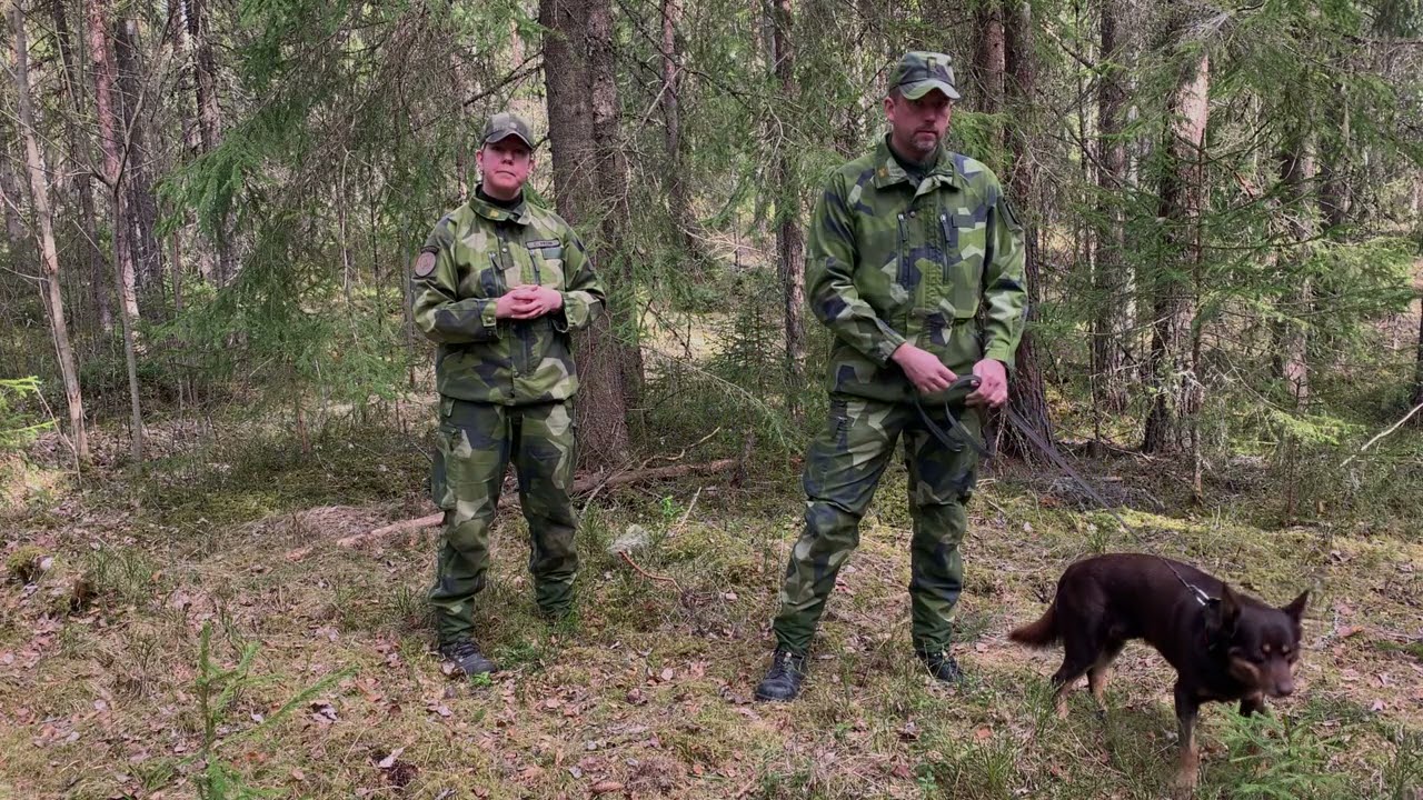 Övningstips 2
