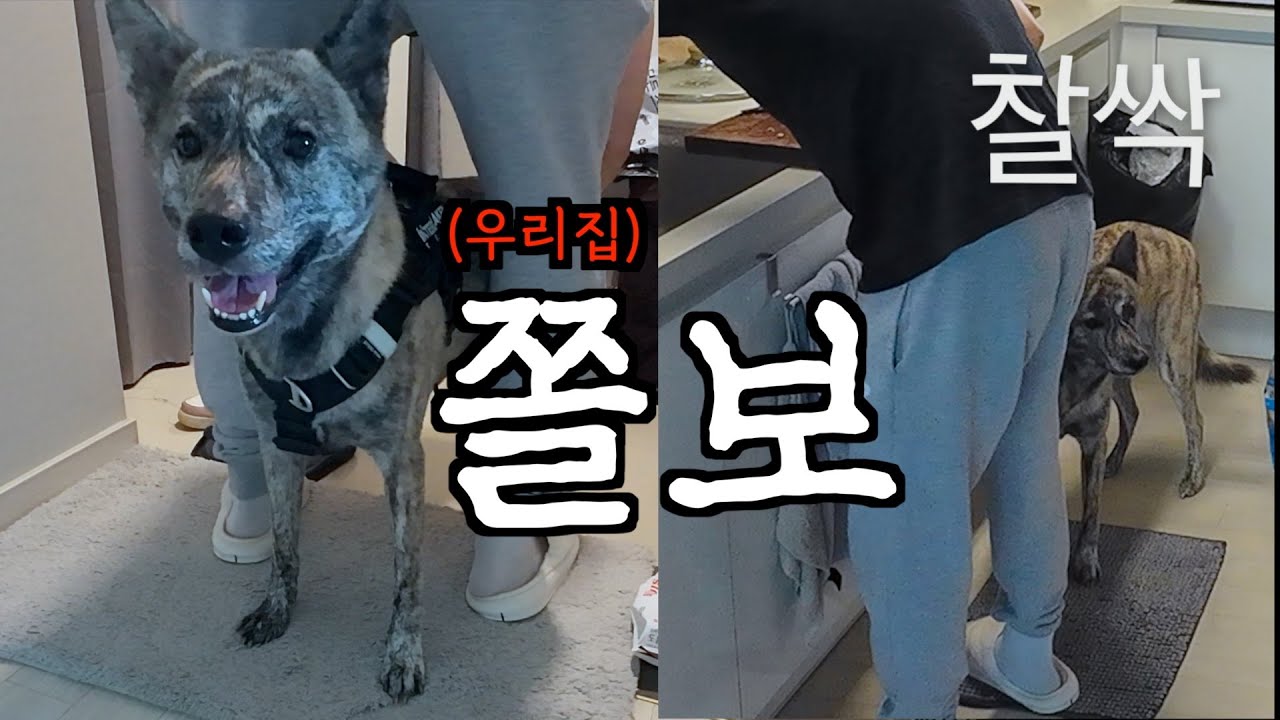 족발 해먹기 한번 힘듦