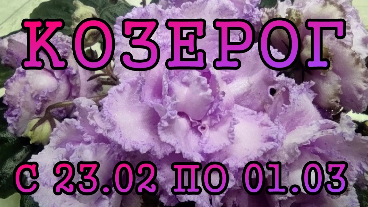 КОЗЕРОГ таро прогноз на неделю с 23 ФЕВРАЛЯ по 1 МАРТА 2026 года