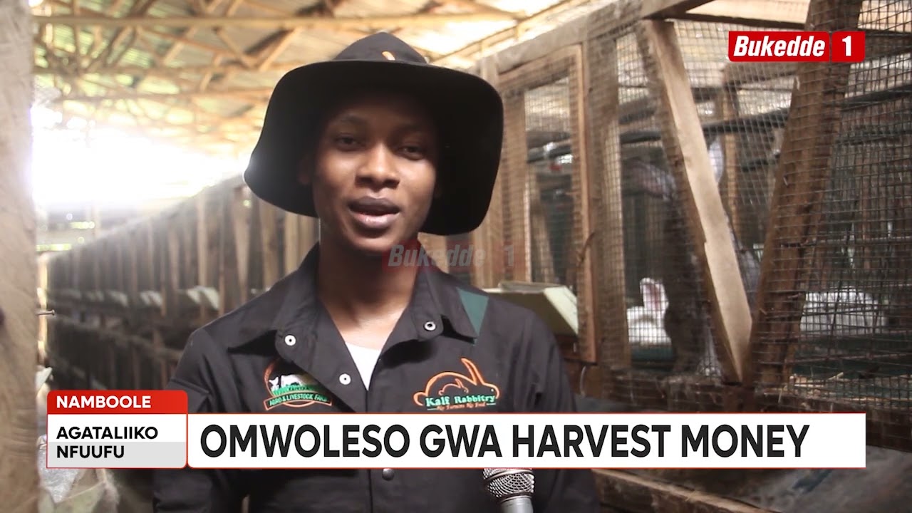 Omwoleso gwa Harvest Money gutandika nkya mu kisaawe e Namboole:Buli kimu kiwedde.