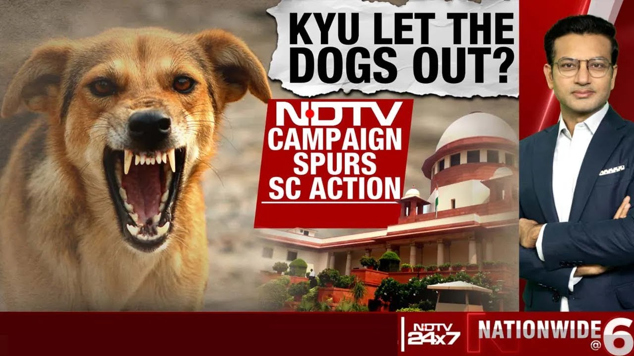 Stray Dog Attack | 8-Week Deadline For Dog-Free Delhi: Big Top Court Order On Stray Dog Menace