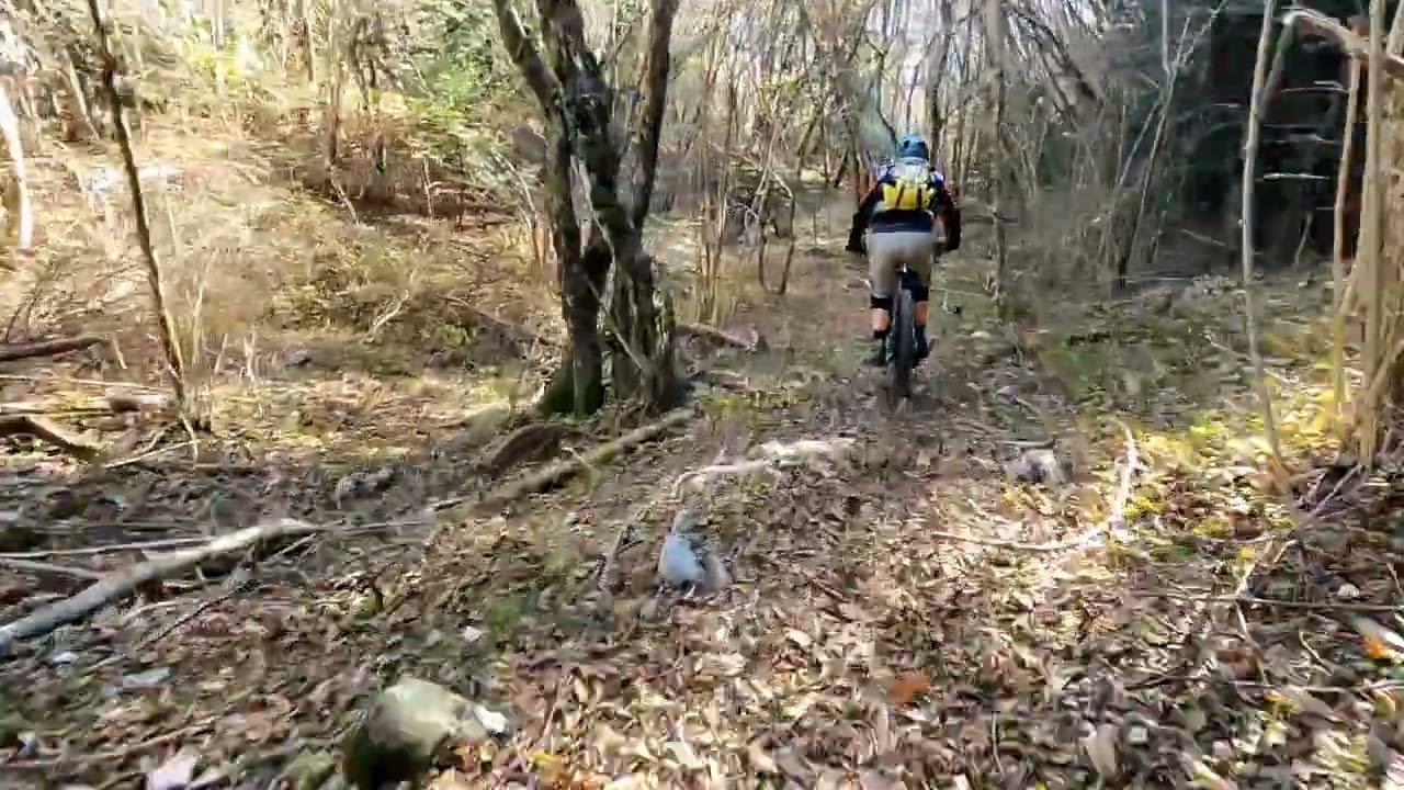 MTB trail da cima Prati di Marcelie a Terzo di T. ripristinato da C.Leschiutta F.Adami e R. Tomat