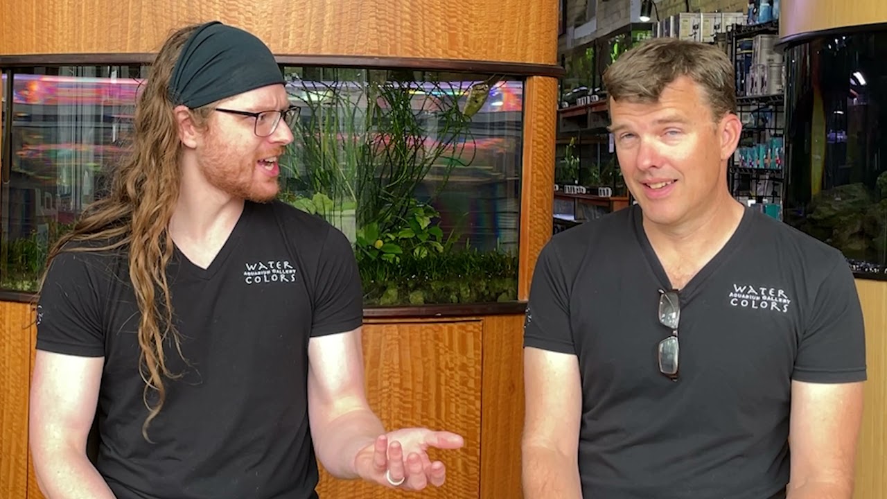 Ignite Coral Growth with Aquavitro Fuel