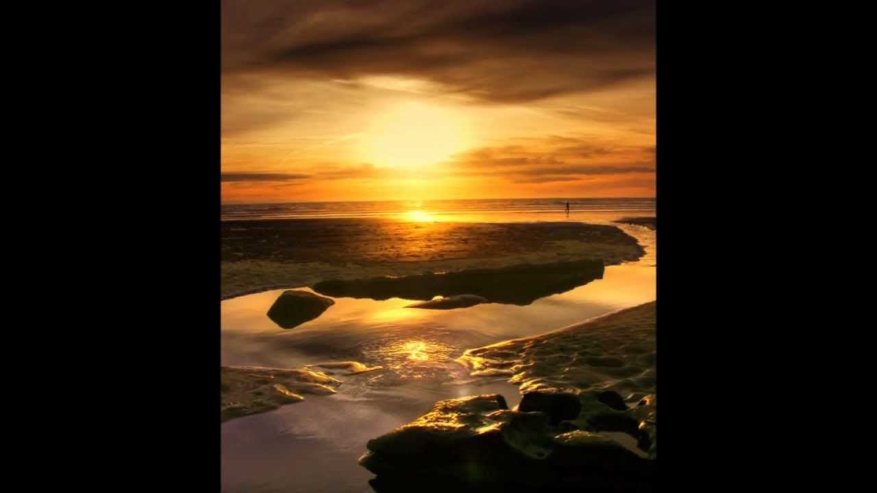 I waenganui pu harakeke - Koea & friends