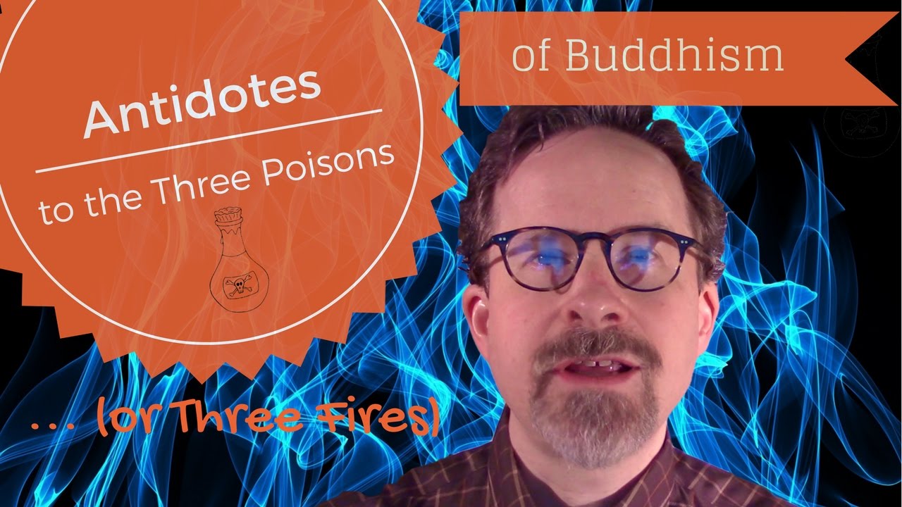 Три яда буддизма: противоядия