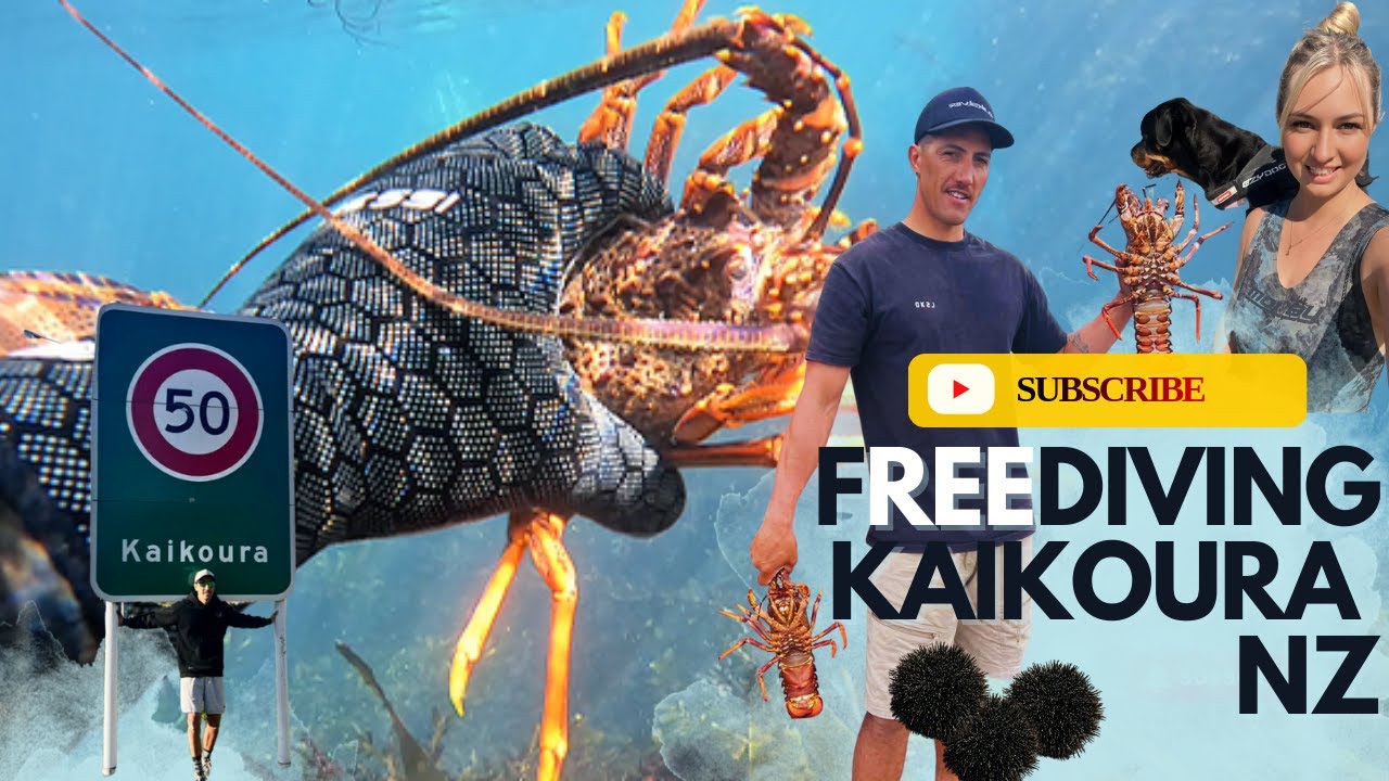 Free diving Kaikōura New Zealand