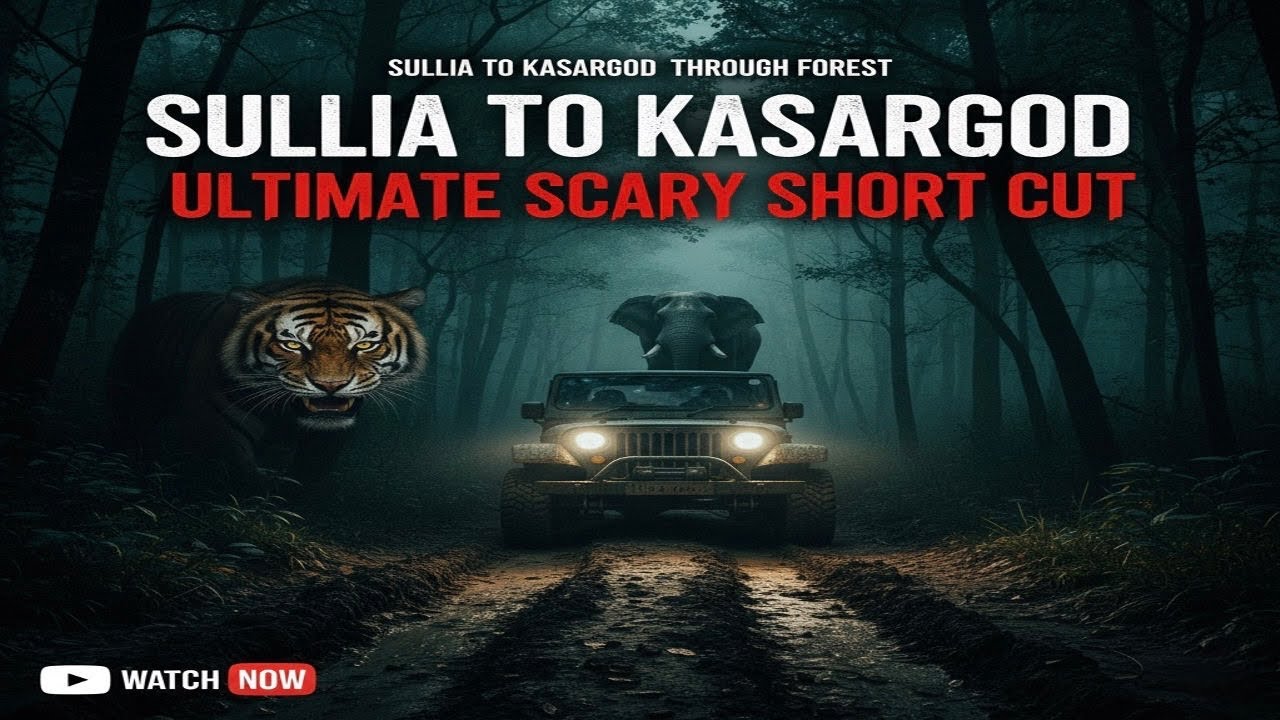 Sullia to Kasargod Shortcut Road 🌿 | 56km Forest Route | 21km Deep Jungle Drive&rdquo;