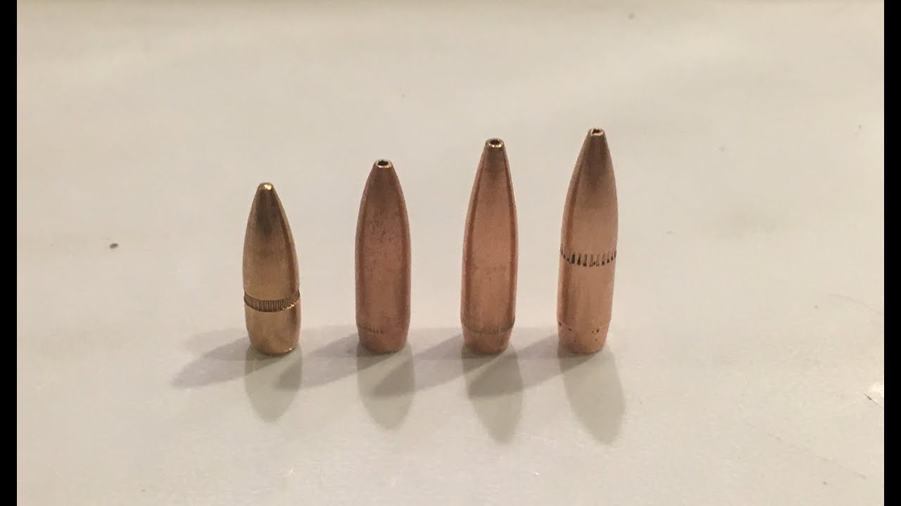Go to round for 223 (55 vs 62 vs 69 vs 77 grain)