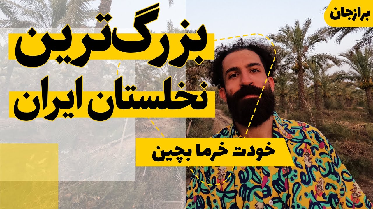 قصه زندگی نخل‌های بوشهر با خانواده عزیز مرادی، صاحب نخلستان