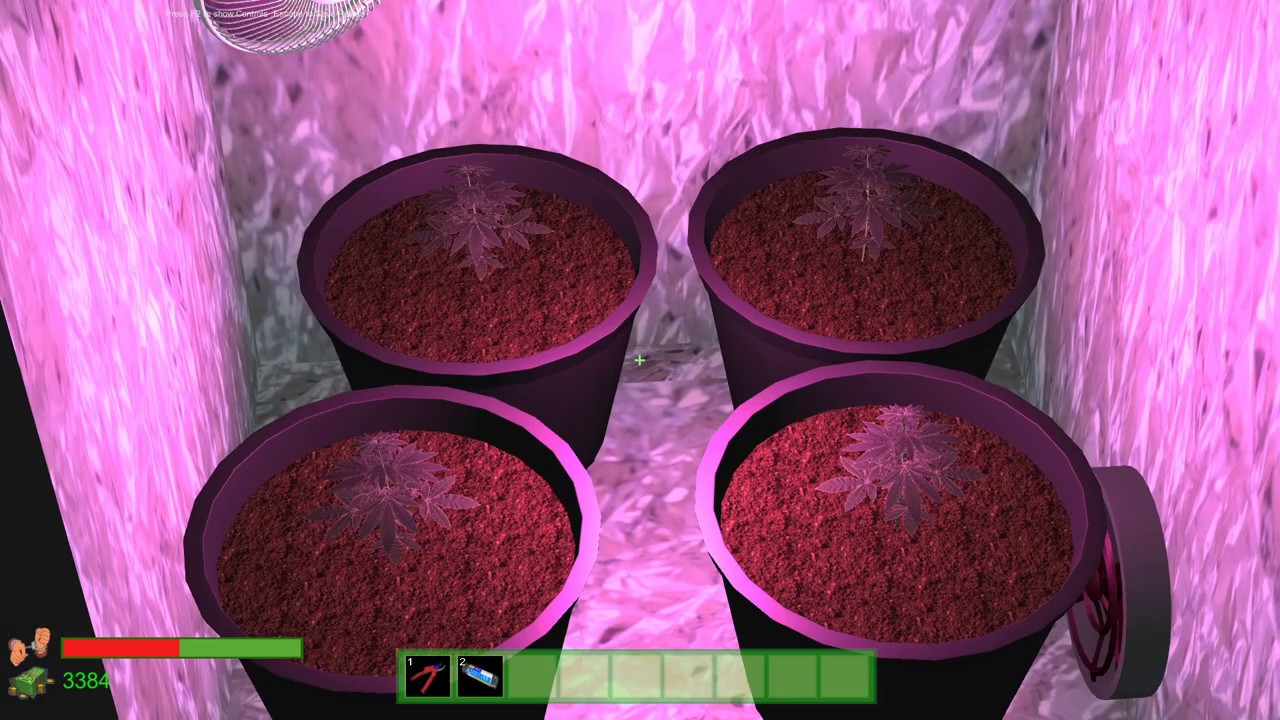Dr Greenstuff comment faire des boutures avec une plante m&egrave;re