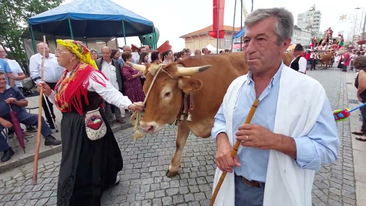 Instantâneos da Procissão do Corpo de Deus - Festas da Cidade de Penafiel 2022