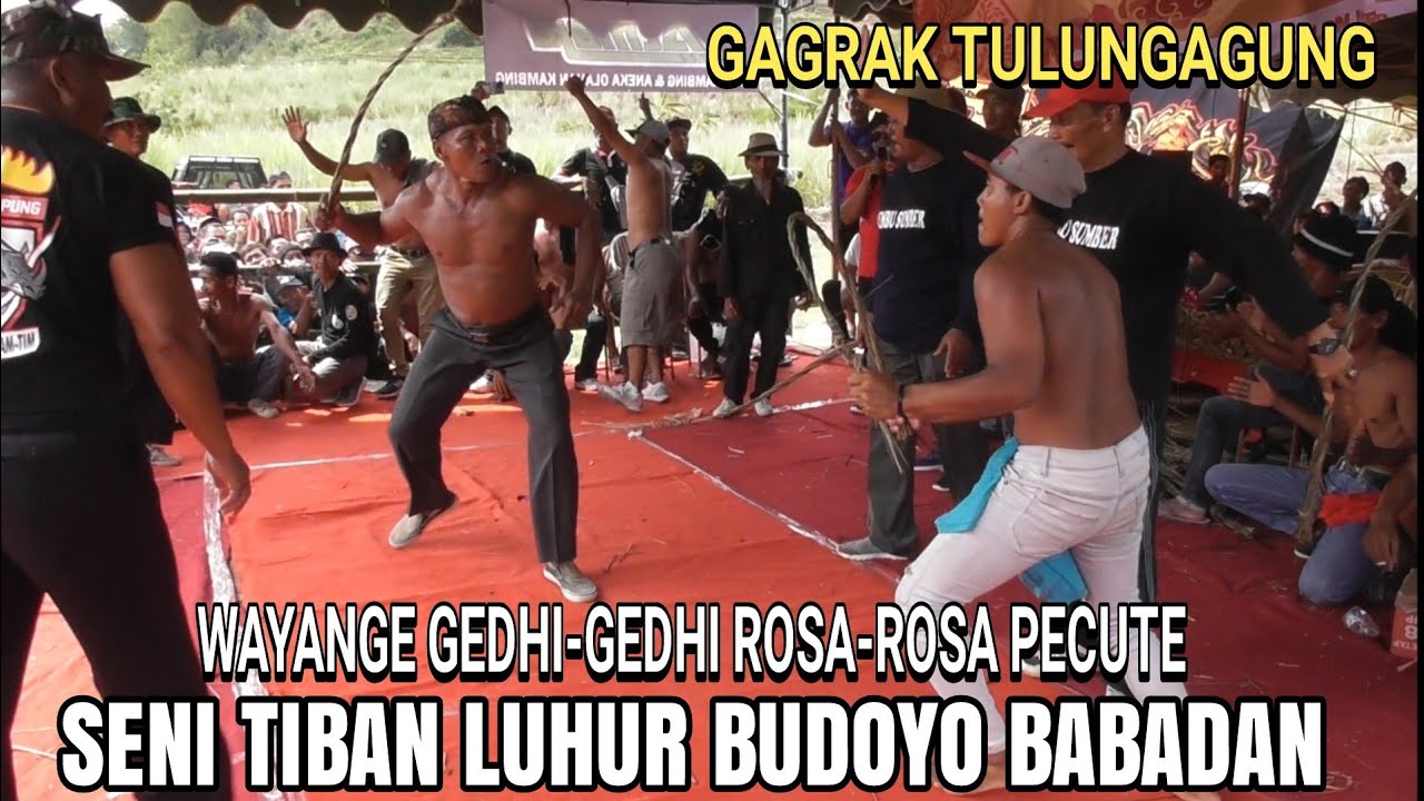 Wayange Gedhi-Gedhi, ROSA-ROSA MECUTE Tiban Gagrak Tulungagung Seni Tiban LUHUR BUDOYO Babadan #fyp